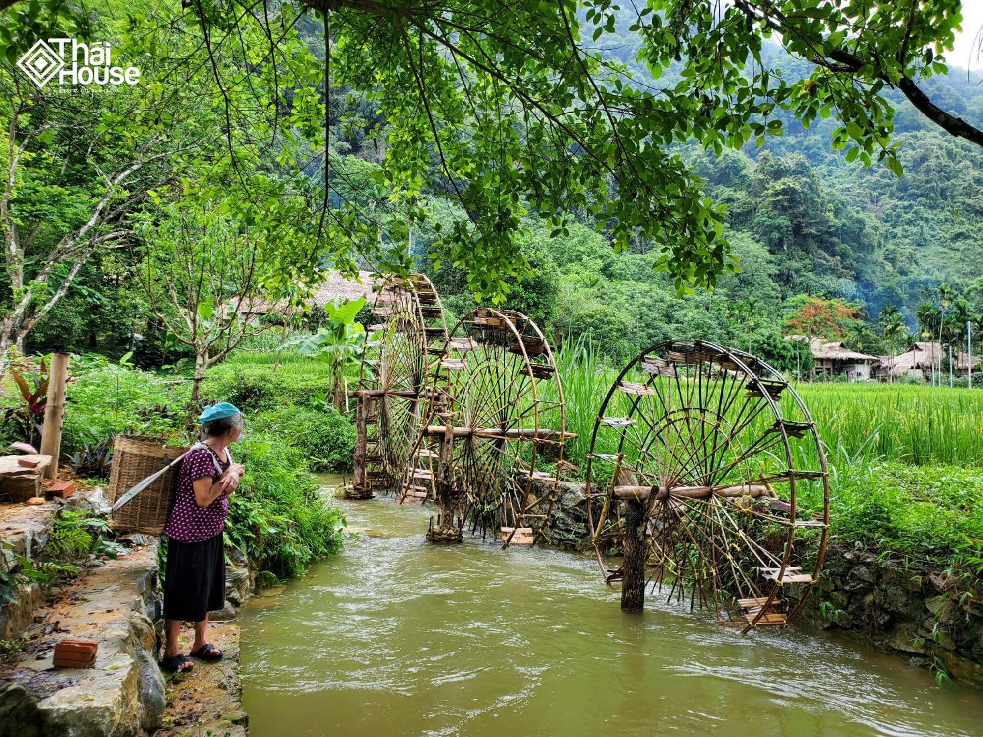 Thai House Pu Luong - Century Old Stilt House With Terrace Views Huong Ba Thuoc Eksteriør bilde