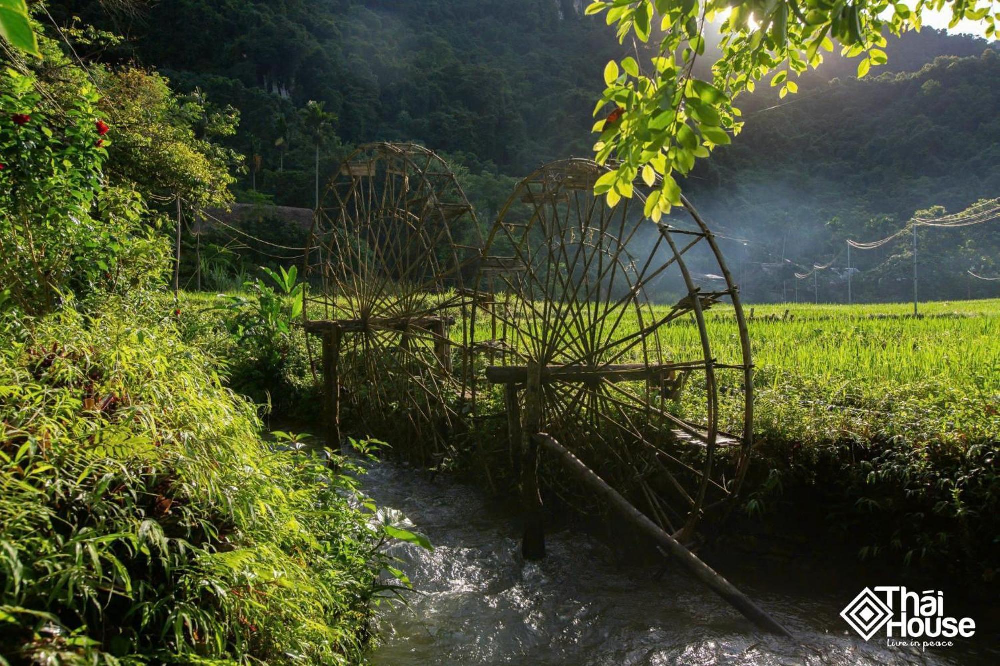 Thai House Pu Luong - Century Old Stilt House With Terrace Views Huong Ba Thuoc Eksteriør bilde