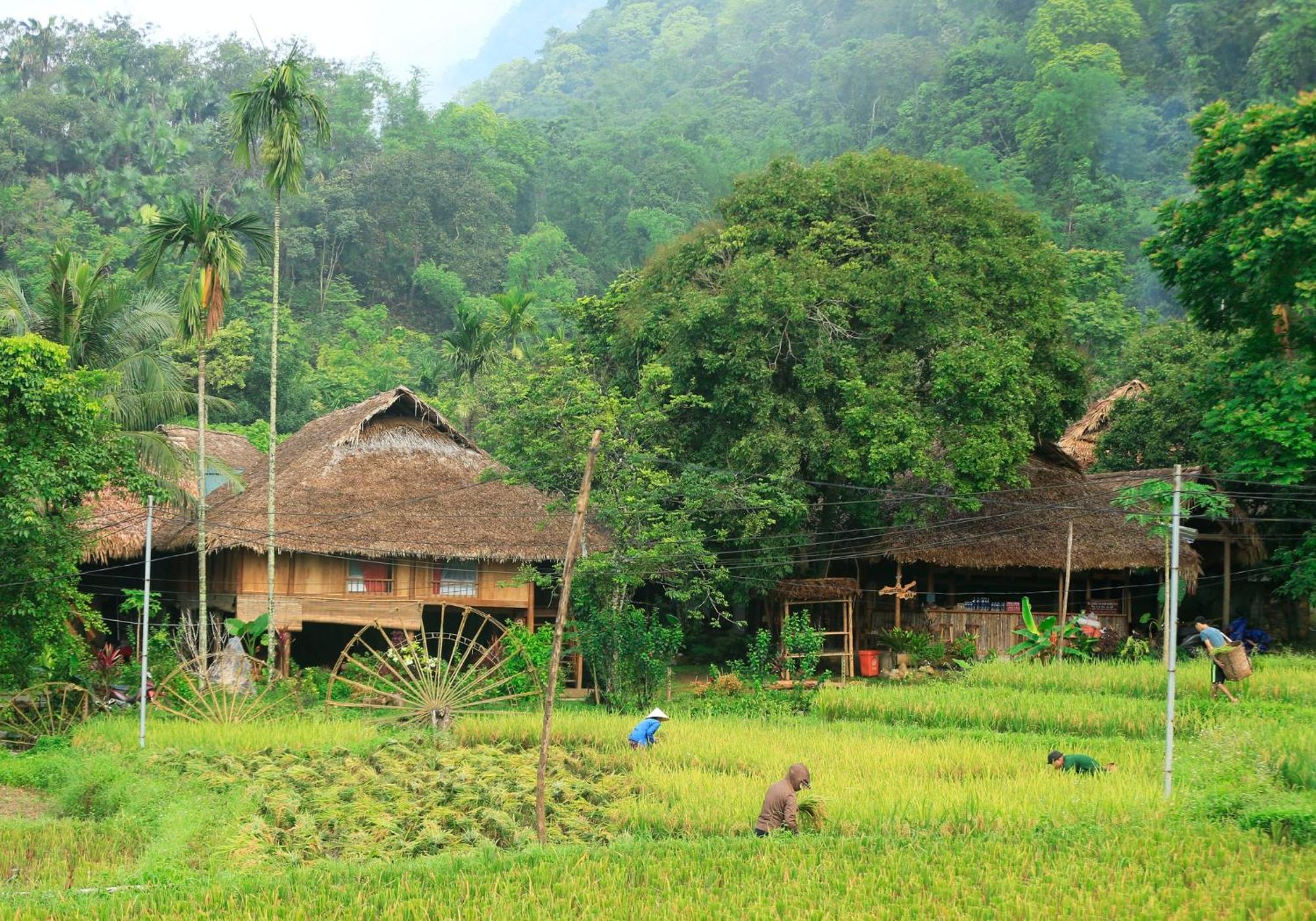 Thai House Pu Luong - Century Old Stilt House With Terrace Views Huong Ba Thuoc Eksteriør bilde